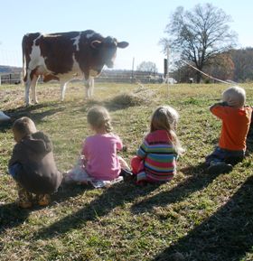 watchingcow1