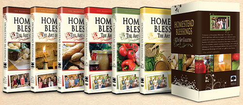 I Added Homestead Blessings and Venture Academy Links